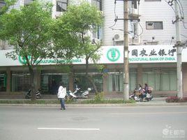 西社村[山西省運城市稷山縣西社鎮下轄村]