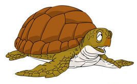 海龜[日本動漫《七龍珠》中角色]