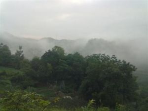 老虎洞村 老虎洞村