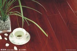 香脂木豆 香脂木豆