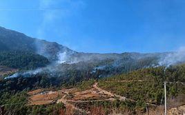 2·10木里森林火災 2·10木里森林火災