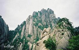 美麗的海門蓮花峰公園 美麗的海門蓮花峰公園