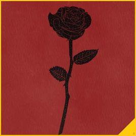 江南小巷 江南小巷