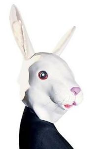 職場偽白兔 職場偽白兔