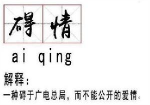 礙情[網路流行詞]