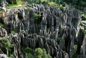 龍鱗石海 龍鱗石海