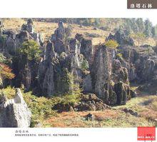 烏龍山[湖南省湘西州烏龍山]