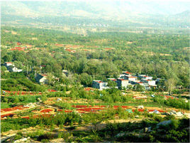 棗莊長紅棗農業旅遊區 棗莊長紅棗農業旅遊區
