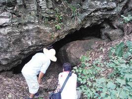 蓮花洞[鎮江市蓮花洞]