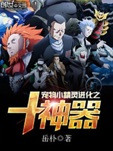 寵物小精靈進化之十神器