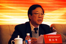 田小平 田小平
