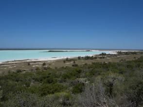 圖利亞拉 圖利亞拉