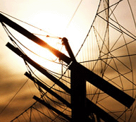 （圖）特發信息