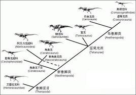 獸腳亞目 獸腳亞目