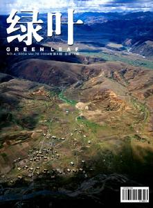 中國環境文化促進會