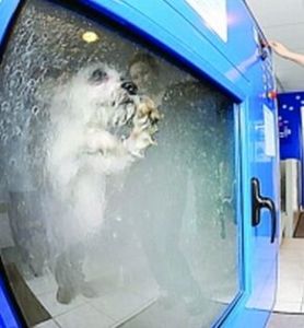 自動洗狗機 自動洗狗機