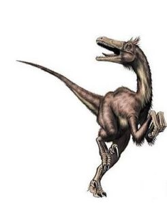 蒙古迅猛龍 蒙古迅猛龍