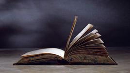 公共關係語言 公共關係語言