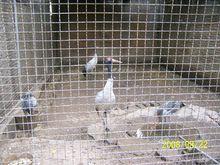 西寧動物園動物 