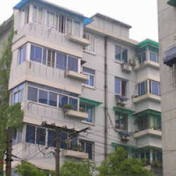 采荷青蓴 采荷青蓴