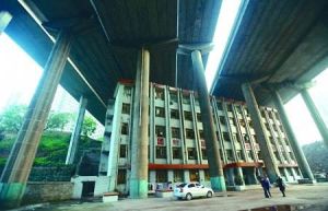 建橋大學 建橋大學