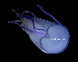 賈第鞭毛蟲病 賈第鞭毛蟲病