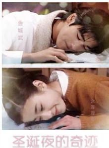 聖誕夜的奇蹟[1995年日本電視劇]