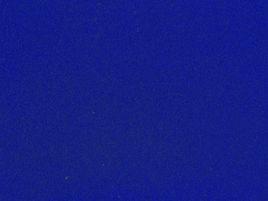 琉璃蛺蝶紫藍色 琉璃蛺蝶紫藍色