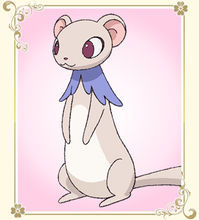 塔魯特（Tarte）