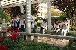 濟源市第四中學 濟源市第四中學