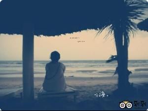 上當受騙 上當受騙