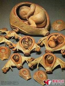 我身有無 我身有無