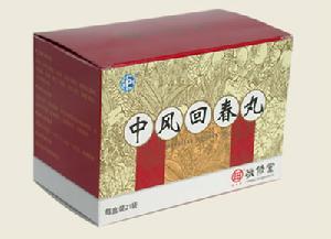 中風回春丸 中風回春丸