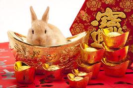 兔年[中國傳統曆法]