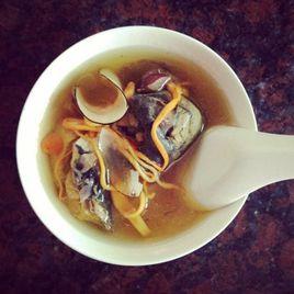 海底椰燉烏雞 海底椰燉烏雞