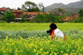 東下池村 東下池村
