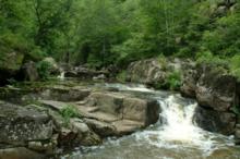 桃山國家森林公園