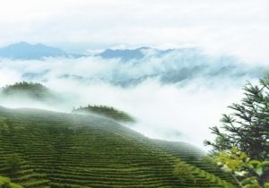 山中風景 山中風景