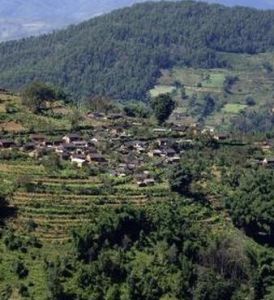 徐家老村子自然村