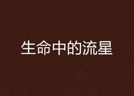 生命中的流星 生命中的流星