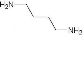 1,4-丁二胺 1,4-丁二胺
