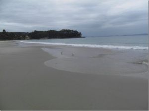 布拉尼島 布拉尼島