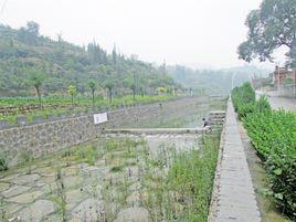 上陽河村 上陽河村