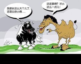 瘦死的駱駝比馬大 瘦死的駱駝比馬大
