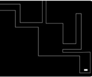 黑色迷宮 黑色迷宮