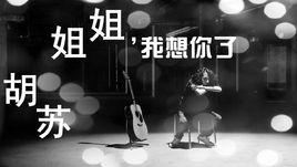 姐姐我想你了 姐姐我想你了
