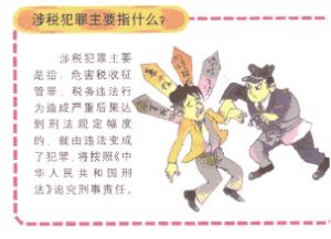 涉稅犯罪 涉稅犯罪