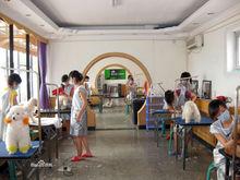 派多格寵物美容學校