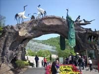 青島石老人觀光園 青島石老人觀光園