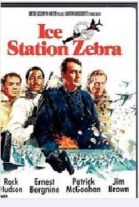 不要活下去 不要活下去